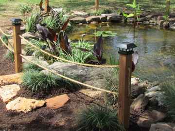 I've always wanted a rope swing  !  House landscape, Ponds backyard,  Farm pond