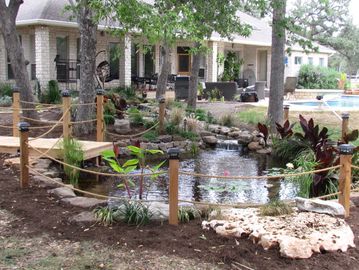 Jump dock for Natural Swimming Ponds 