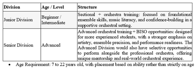 Table outlining Junior and Senior Division orchestral training structures and age requirements.