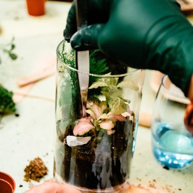 a person constructing a terrarium during a terrarium making workshop with lemonade events