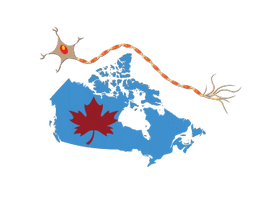 Canadian Peripheral 
Nerve 
Research Collaborative 