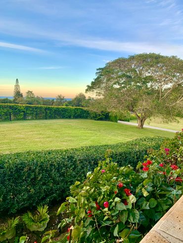 View from Balcony overlooking front lawn