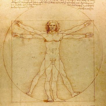 The Vitruvian Man by Leonardo Da Vinci deilightfully depicts a Transapient Human Being