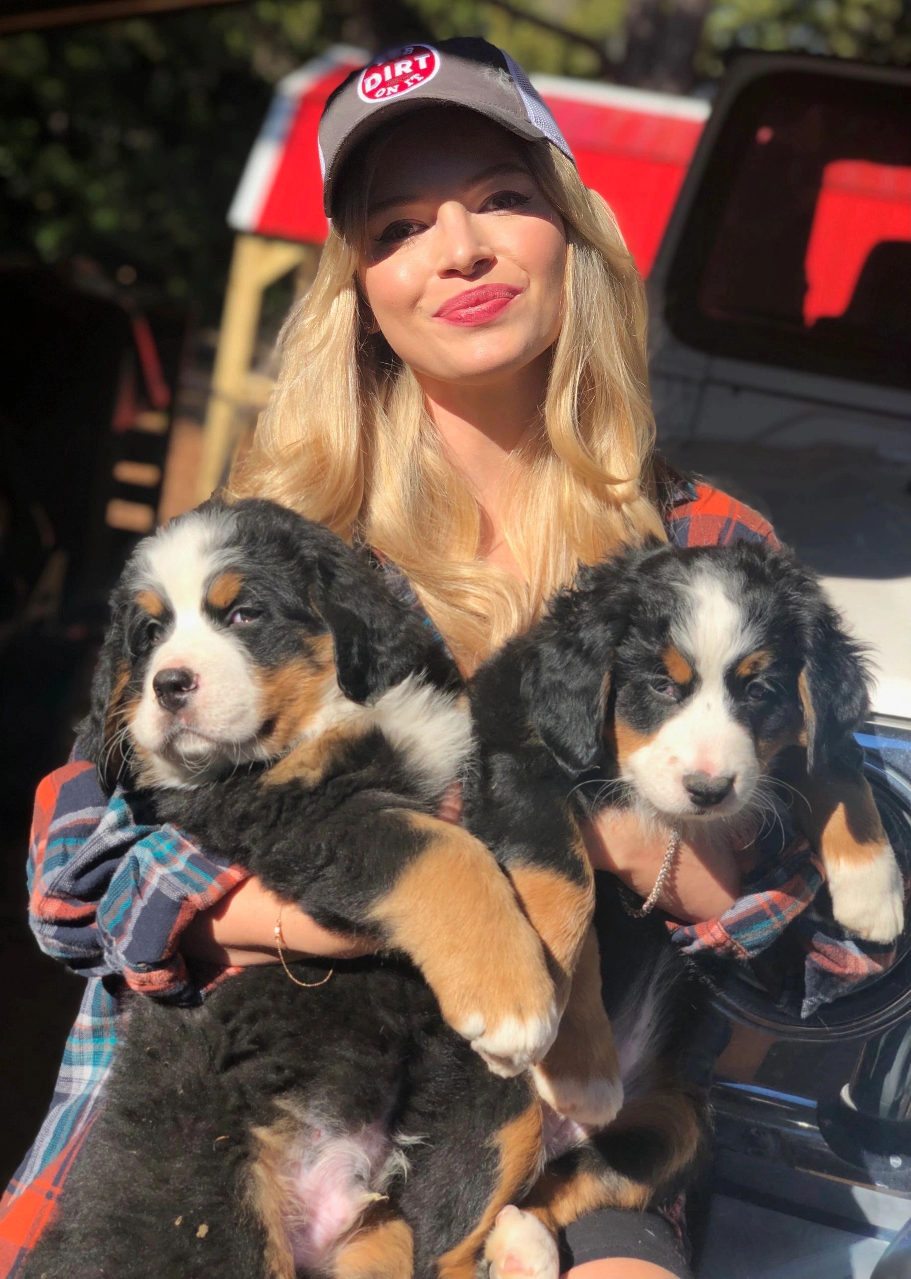 Legacy Bernese