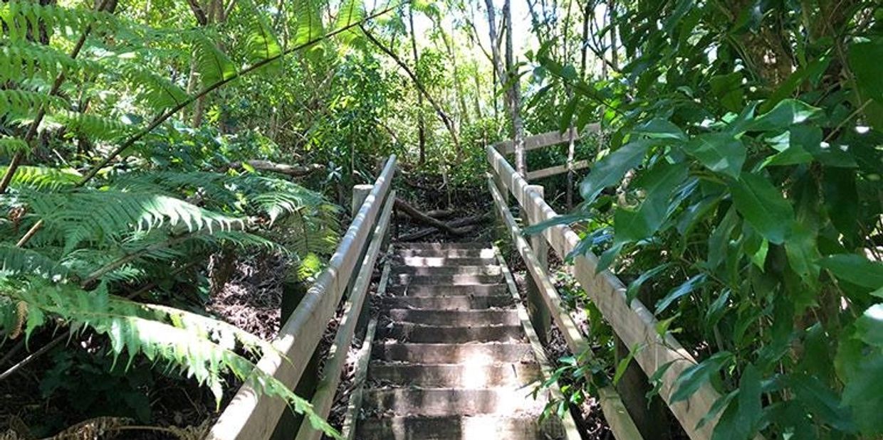 Slip‑resistant vinyl in Lynfield kitchen renovation