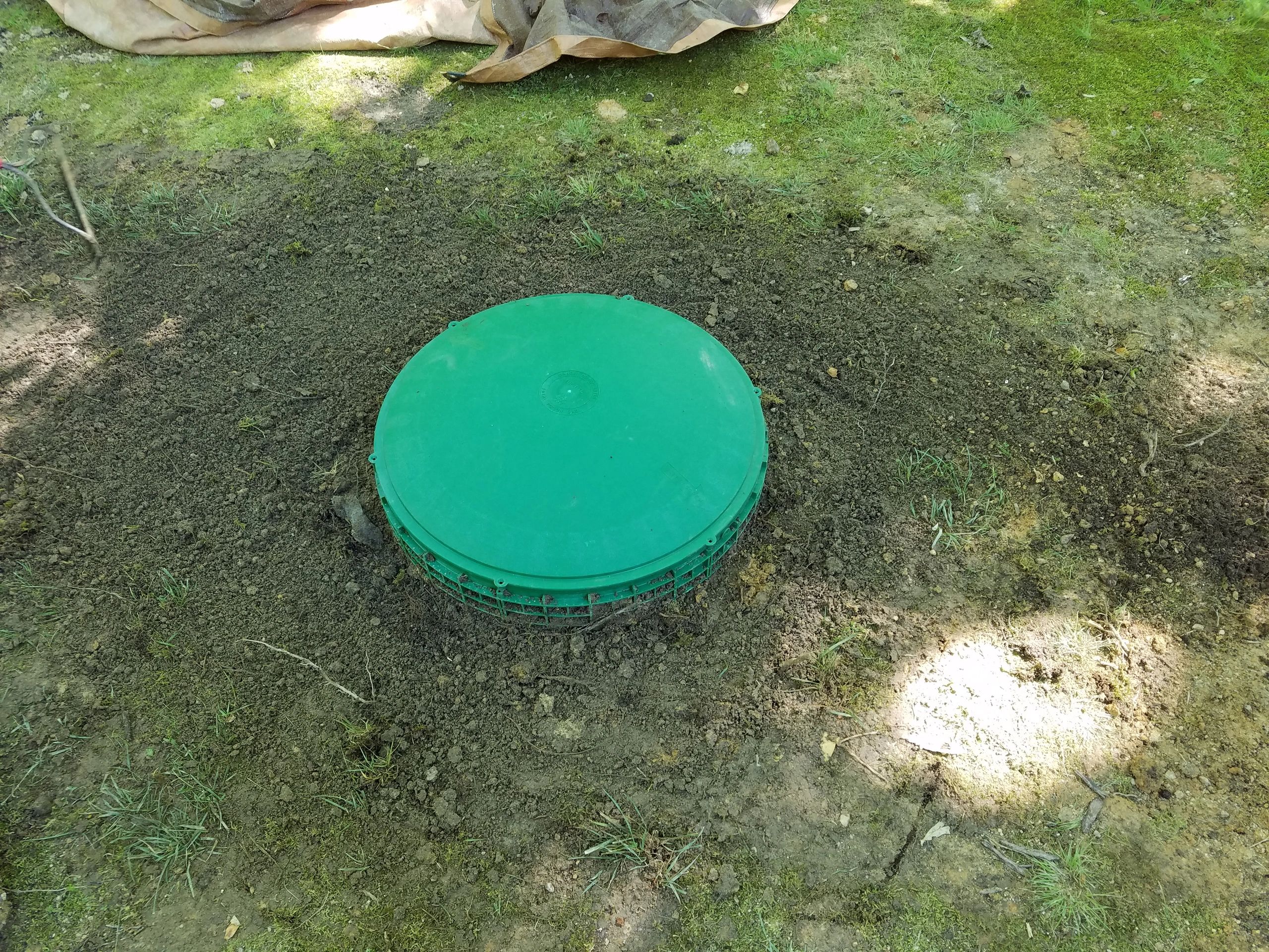 What is this green dome in my yard?