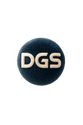 Digital Growth Solutions Now LLC