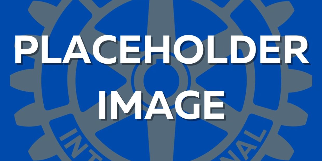 A blue and gray graphic with the words "PLACEHOLDER IMAGE" centered.
