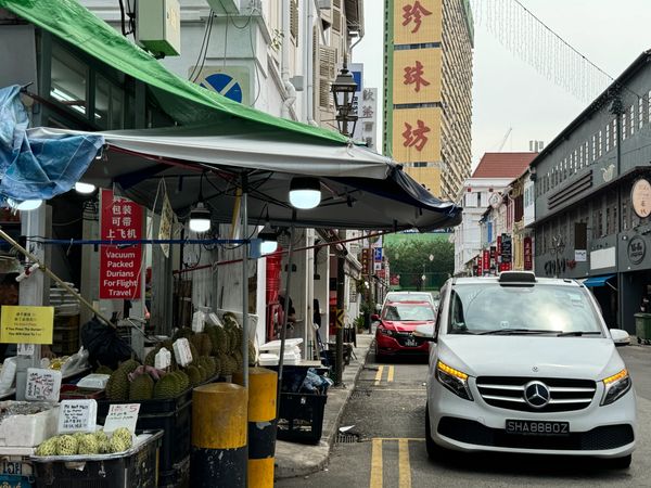 10 hours of Singapore’s City tour with tourists  eating durians in Chinatown.