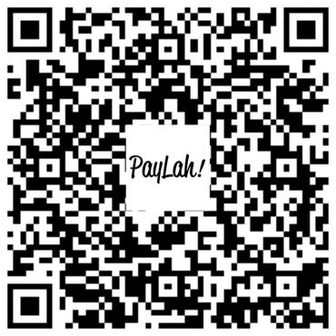 Online payment by Paylah to mobile number +6592213906 belongs to Iqbal @Maxicab Services. Thank you