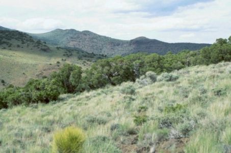 Tule Peak area northeast of Reno, Nevada.