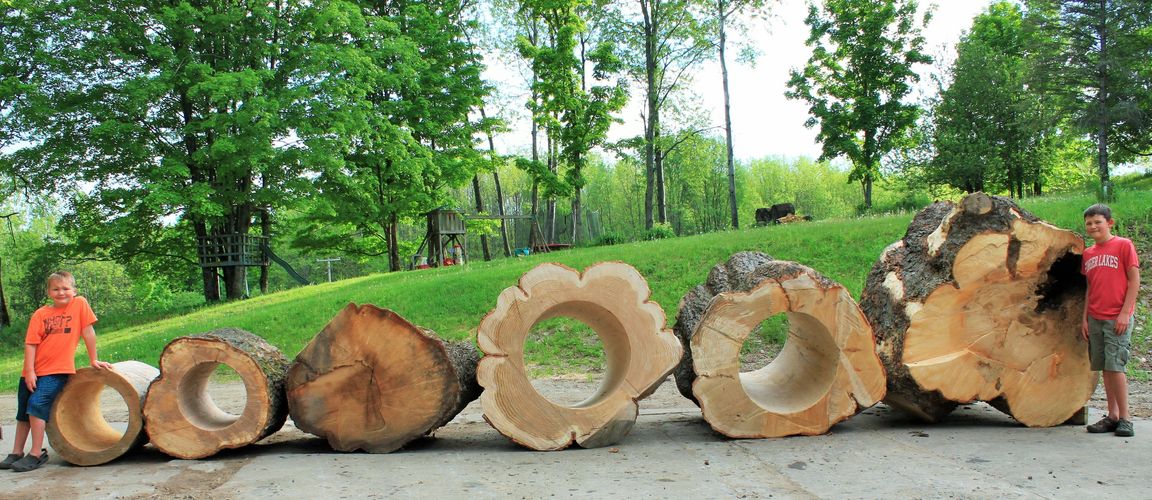 Crawl Through Logs Small to XXX Large