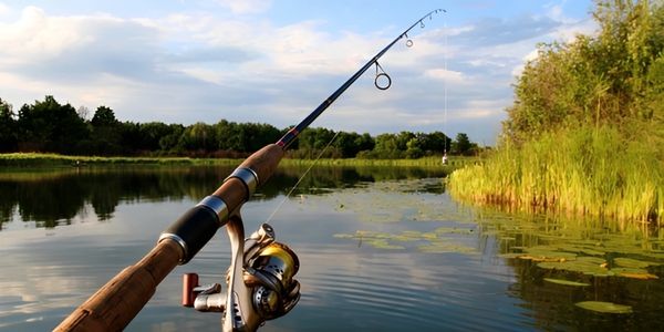 A closeup look at a fishing rod.