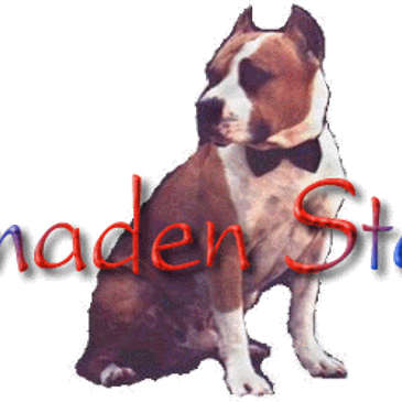Almaden Staffs Logo with a Dog 