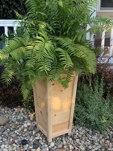 30 inch tall planter box.