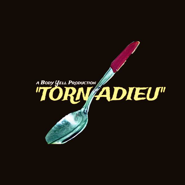 Logo featuring a spoon and title 'TORN ADIEU.'