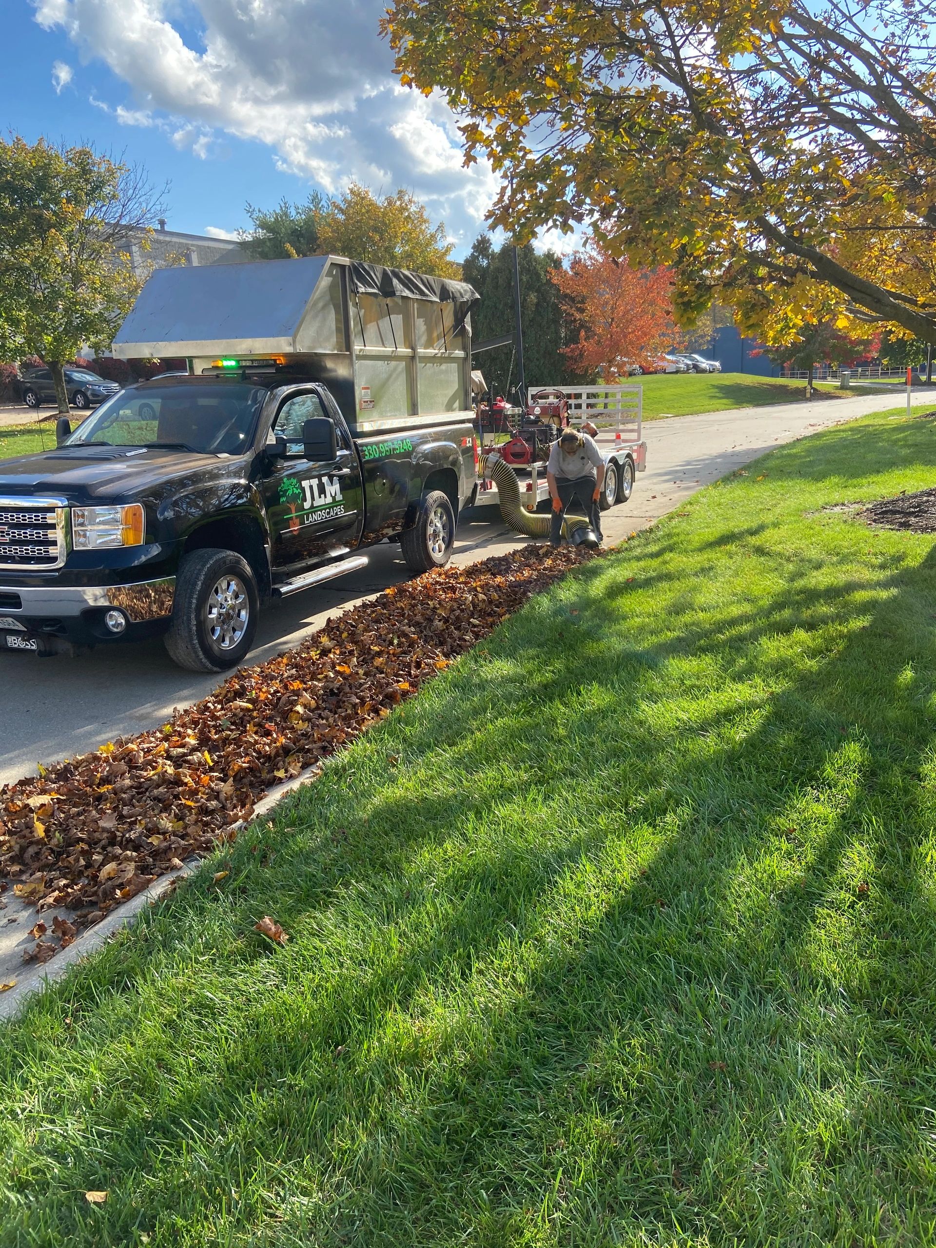 Fall Leaf Removal: Why It's Important for Your Lawn