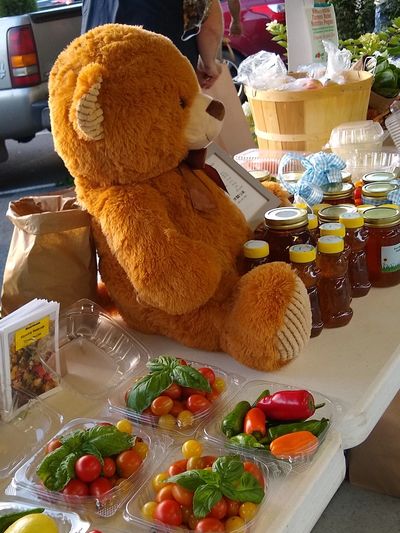 Selling honey and produce for Bare Bottom Farms at Ashe County Farmer's Market in West Jefferson, NC
