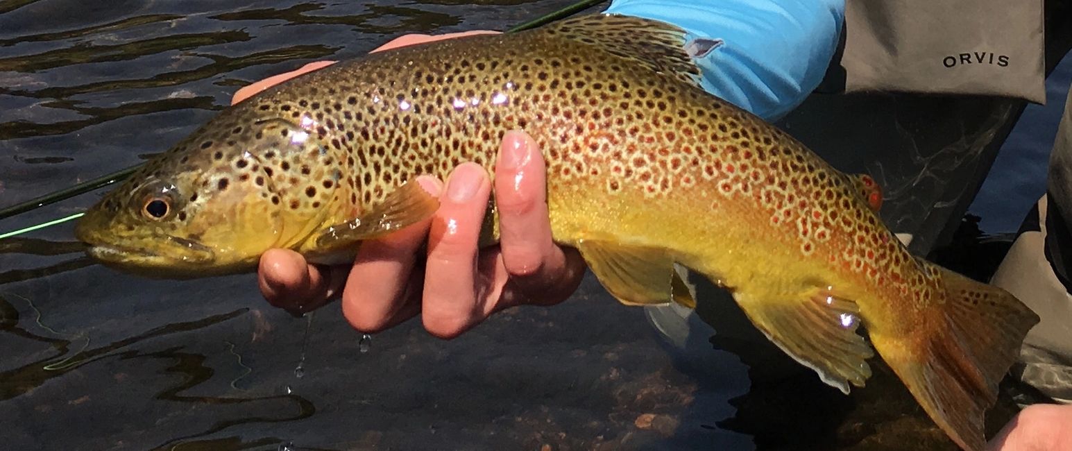 Private Water Fly Fishing