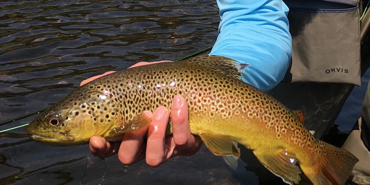 Private Water - COAL CREEK ANGLERS