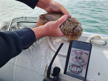 Person holding a fish on a boat with a phone showing a cartoon image.