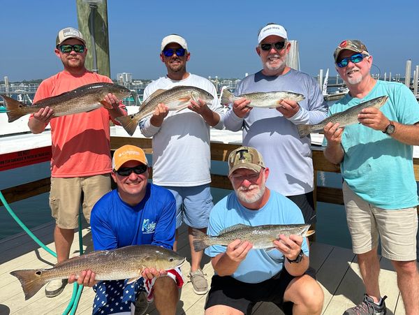 Prodigy Charters - Inshore Fishing, Orange Beach