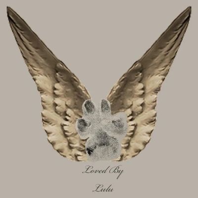 Loved By Lulu Logo
Paw print and angel wings