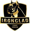 Ironclad Cane Corso and Training LLC