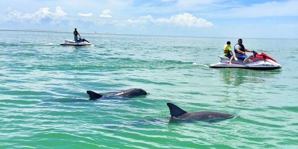 everglades tours from marco island