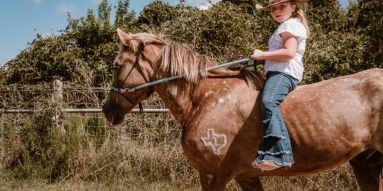 Corpus Christi Horse House