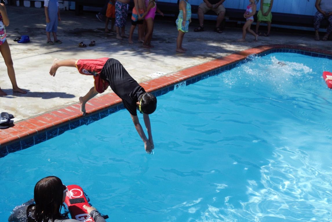 treeview swimming club treeview swimming club