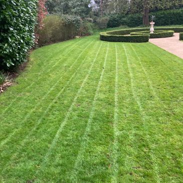 A cleared garden lawn