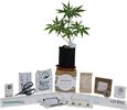Medium Complete Pot Grow Kit (5 gallon)
