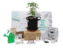 Small Complete Pot Grow Kit (2 gallon)
