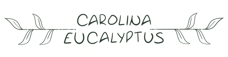 Carolina Eucalyptus