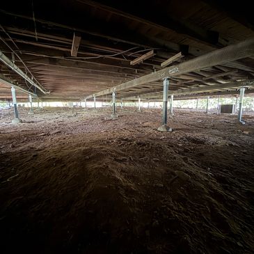 Underneath a house showing wooden beams and soil ground.