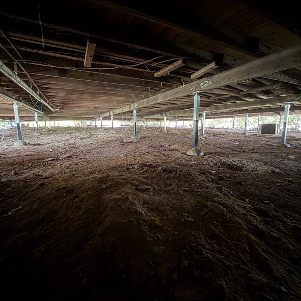 View inside a crawl space under a building.