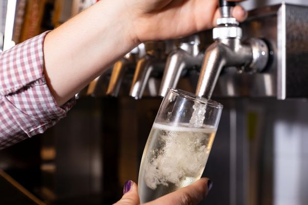 Local beers on tap and wine options