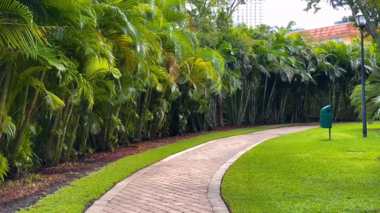 https://img1.wsimg.com/isteam/ip/641f0093-c242-446b-8eab-1fdf8f330dcc/thumbnails/thumbnail-08e4d00f-399b-48de-9e9c-881395b78299.png