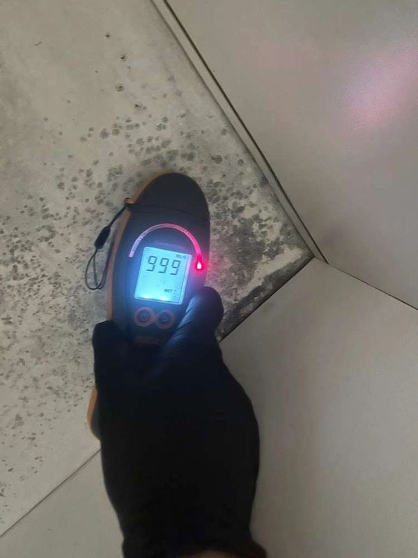 Hand-held device measuring high moisture on damp wall corner.