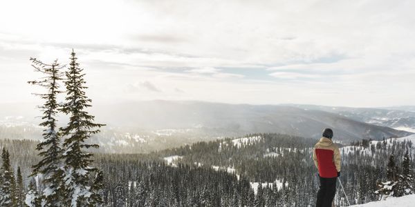 Person in red jacket overlooking snowy forest landscape.