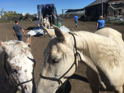 Equine Assisted Learning Therapy Health Wellness Facilitated EAL EAW EAT EAPD Youth at Risk. Cariboo