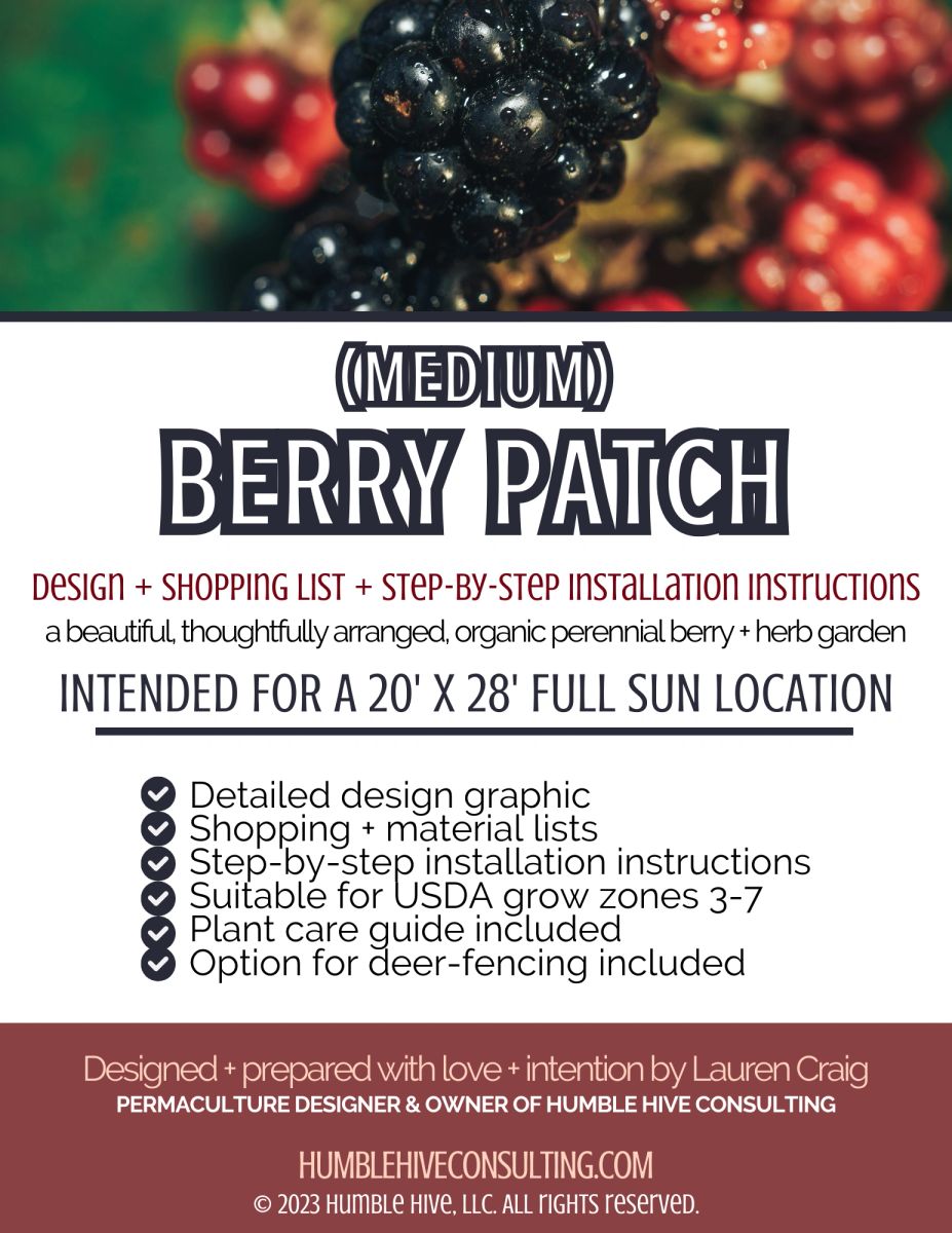 Medium Berry Patch Design, 20' x 28' (with shopping+ materials lists ...