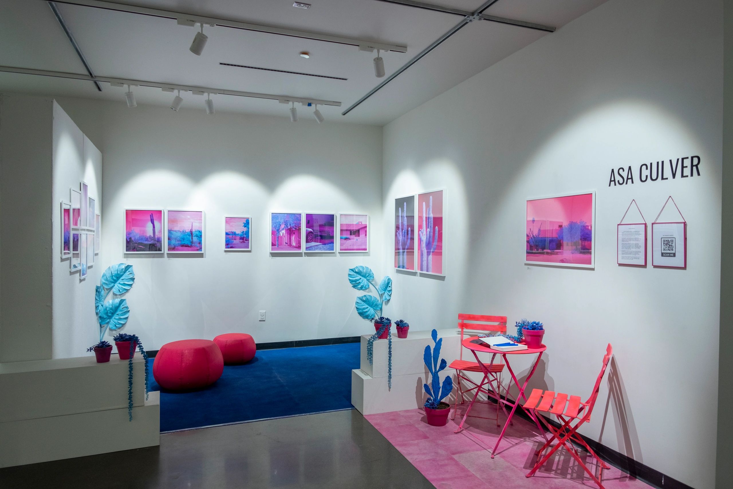 Infrared Photography Art Exhibition Suburbia Euphoria by Asa Culver.Photography Installation