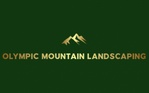 Olympic Mountain