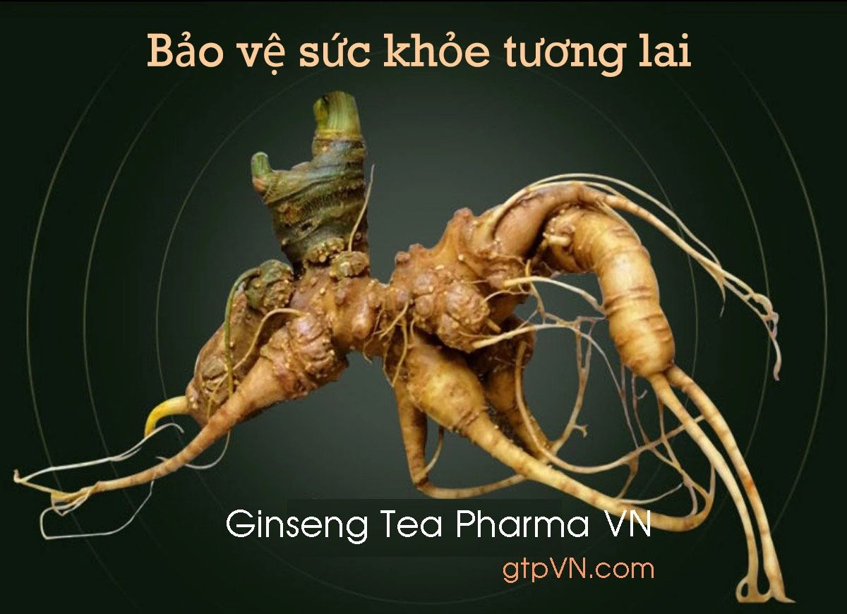 Câu hỏi 1kg sâm Ngọc Linh có giá bao nhiêu là khó trả lời.