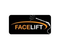 Facelift Drives 