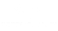 White Stag Law