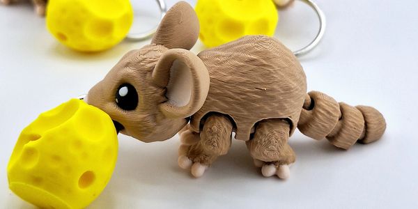 Mouse  by MatMire Makes
cheese curd by 3D2Life