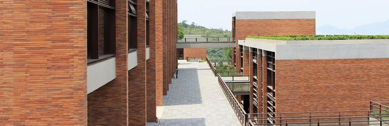 Long Bricks Manufacturer, Terracotta Roman Bricks | China Leiyuan